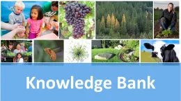 Knowledge Bank