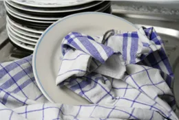 Dirty Dish Towel