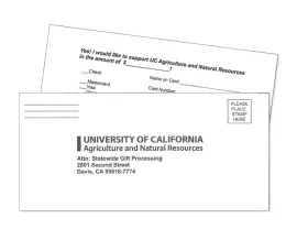 Donation Envelope