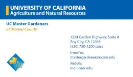 Generic Business Card FRONT