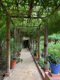 Bamboo arbor