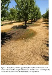 UCWeedblog fig5