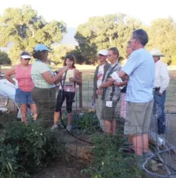 Members of the public learning about drip irrigation from Inyo-Mono Master Gardeners