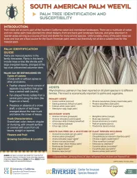 Palm Tree Identification and Susceptibility