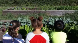 Kids watching the plants grow by Karina Hathorn