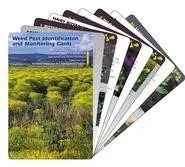 weed cards