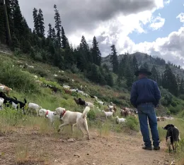 SQUAW LGD 2019 (4)