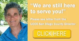 cheryl wilen banner