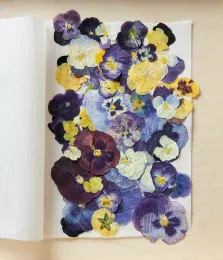 flowers pressing