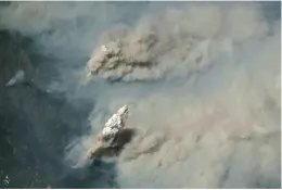 Wildfire