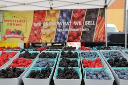 farmers market stand