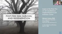 Oak woodlands and fire (Part 1)