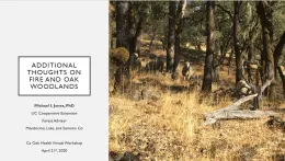 Oak Woodlands and Fire (Part 2)