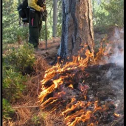 Fire photo 3 Sq