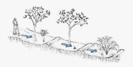 Berms and Swales