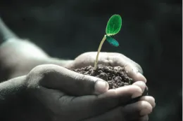 New Earth