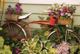 Container Gardening