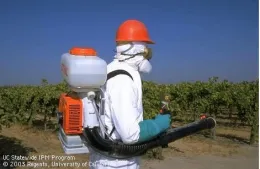IPM PPE v1
