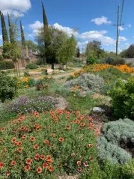 La Loma Native Landscape. (R. Allen)