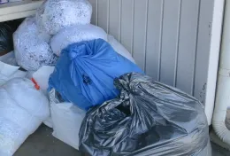 Bags of Trash