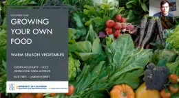 Warm Season Vegetables