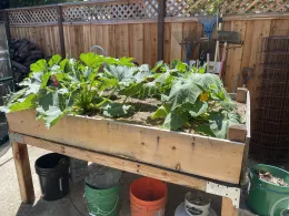 An elevated container can be easier on your back