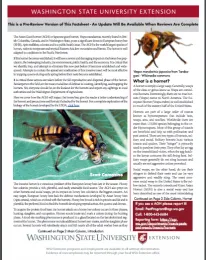 Washington State University Extension has published a fact sheet on the Asian giant hornet. It can be downloaded at https://bit.ly/2SA3TxS.