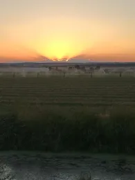 Tulelake sun