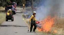 Prescribed burn