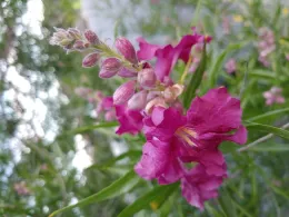 june blog 1