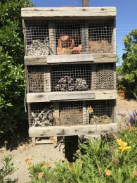 bee homes