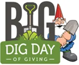 BigDig