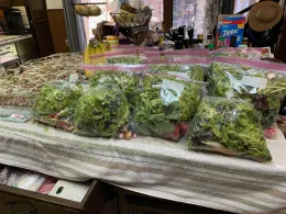 garden produce