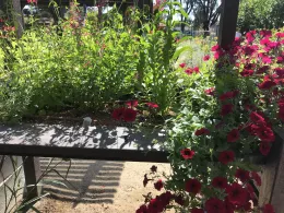 no barriers garden