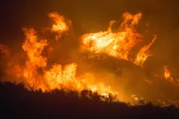 Wildfire