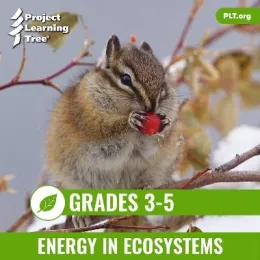 3.5