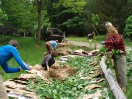 Lasagna Gardening