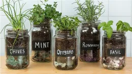 GC HerbGarden01