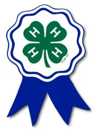 Blue ribbon