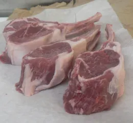 lambchop