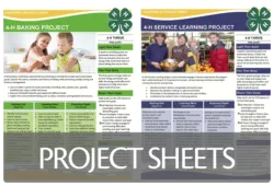 Project Sheets
