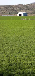 Side_banner