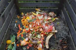 Veg scraps in compost bin pixabay