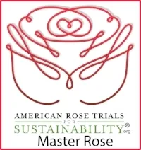 Master Award