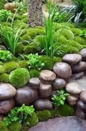 F1moss1