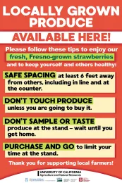 S_Fresno Strawberry