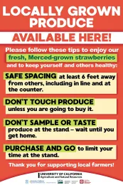 S_Merced Strawberry