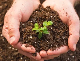 Test Your Soil