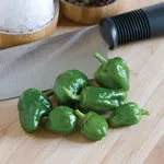 Padron_Johnny's_2021-150