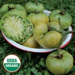 Aunt Ruby's German Green_Seed Savers Exchange_2021-150